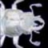 Beetle-Experience