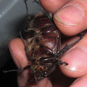 granti_mites.jpg