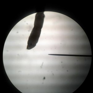 20150209_180659.jpg