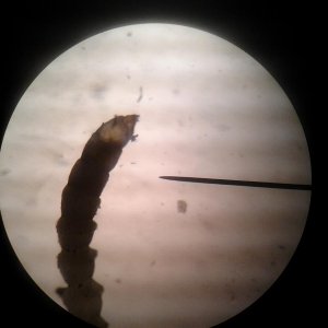 20150209_180648.jpg
