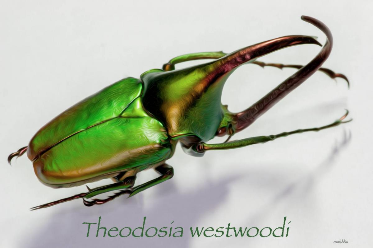 theodosia .jpg